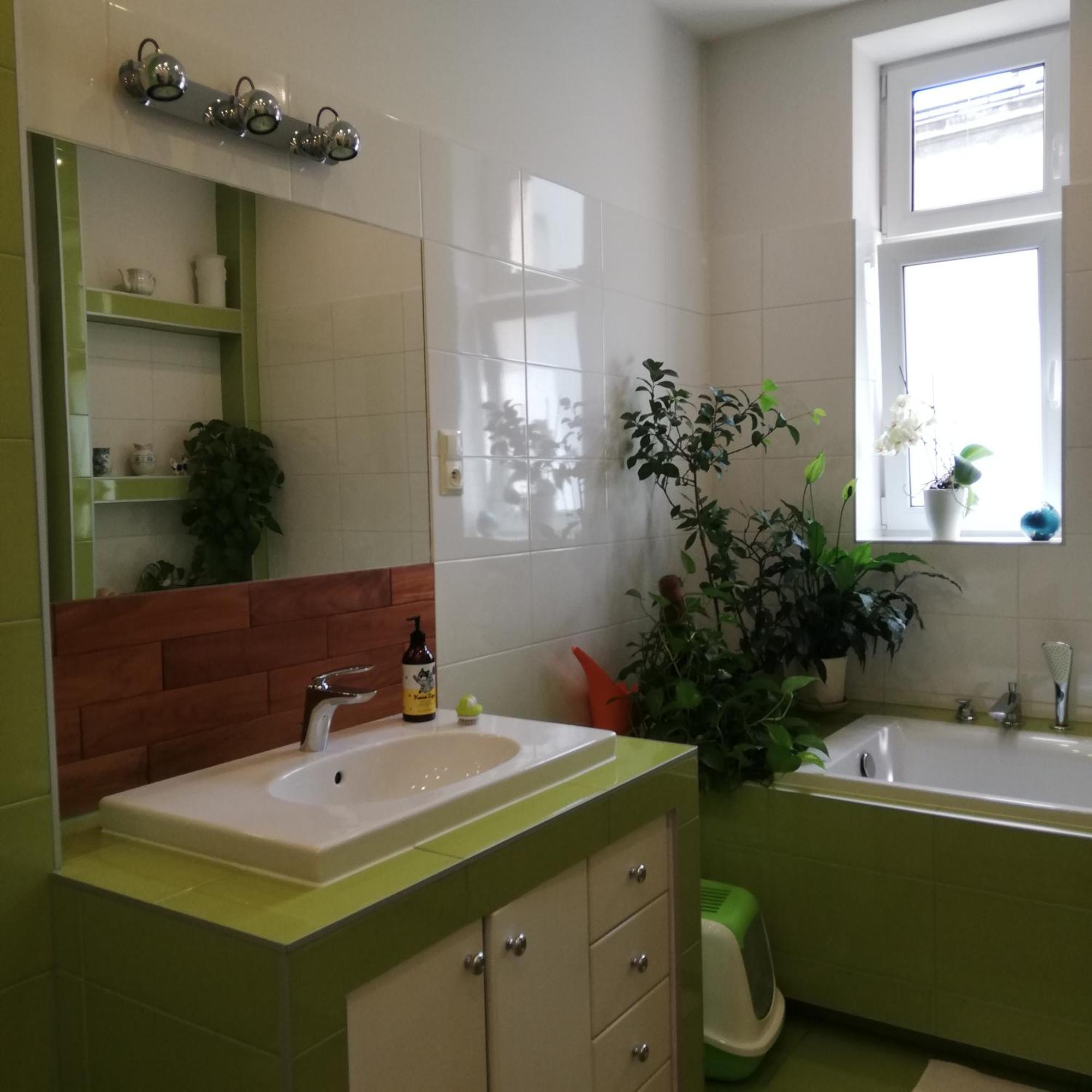 קרקוב Botaniczny Pokoj מראה חיצוני תמונה